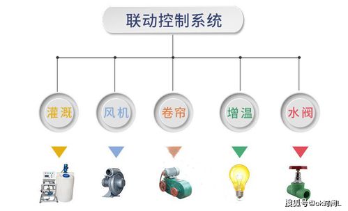 湖南温室大棚智能管理系统,自动化集成系统,温室环境采集系统